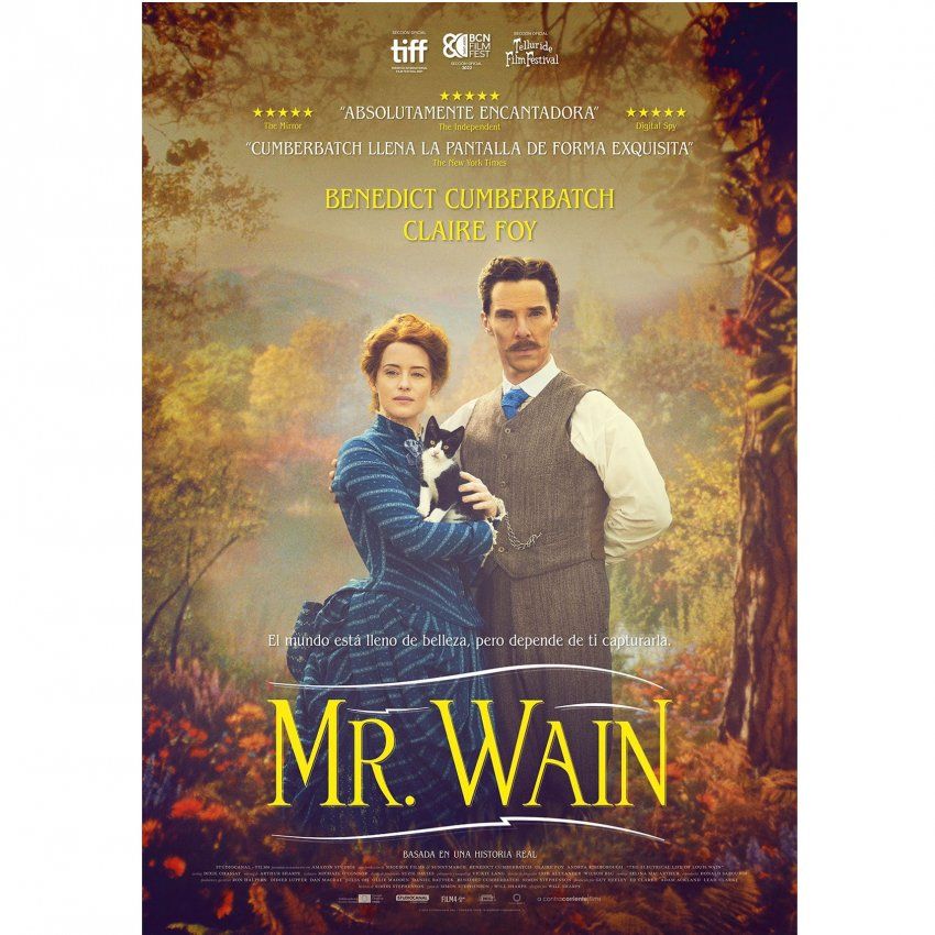 Mr wain  DVD