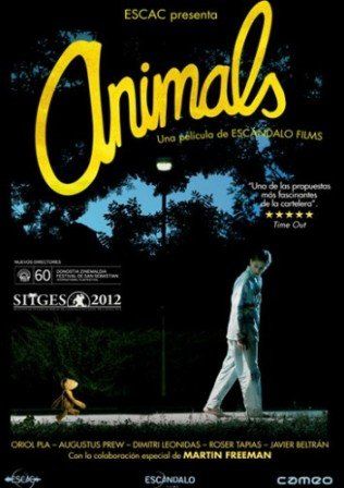 Animals dvd