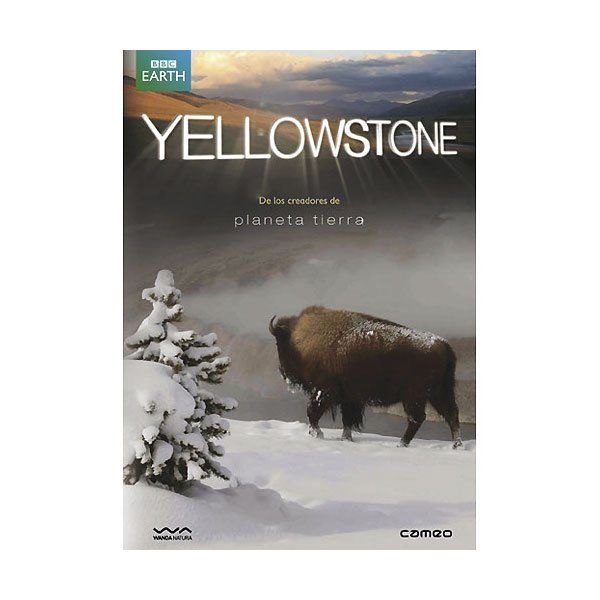 YELLOWSTON  Dvd