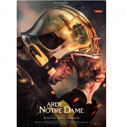 Arde Notre dame   dvd