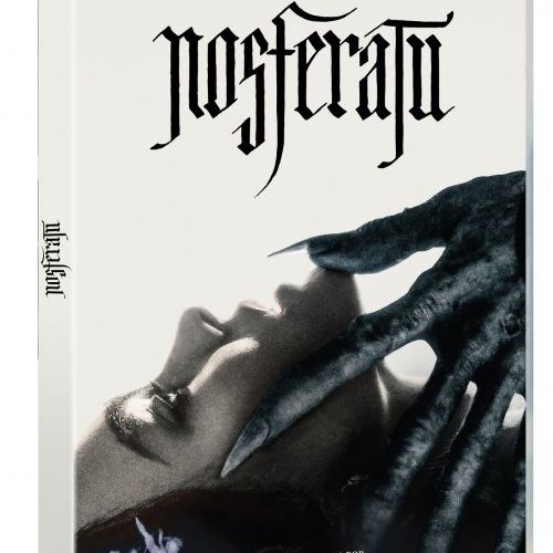 Nosferatu DVd