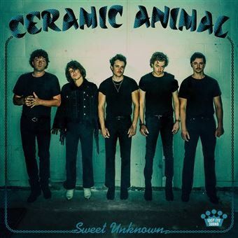 Ceramic Animal - Sweet Unknown - LP